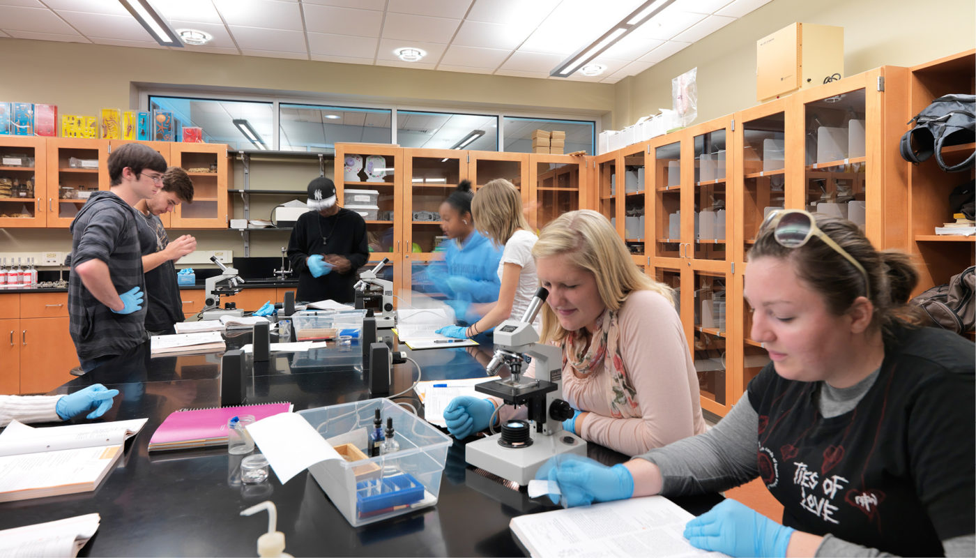 A group of students working in a lab.
