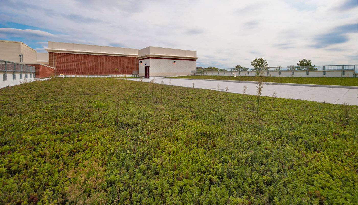 A green roof on Paint Branch High School in Montgomery County Public Schools.