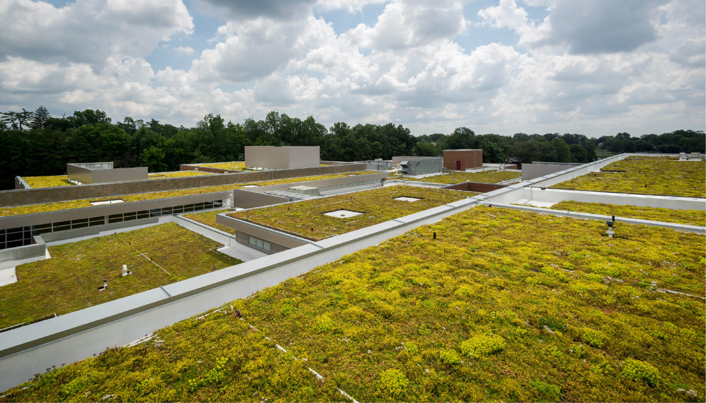 Herbert Hoover Middle School in Montgomery County Public Schools has a green roof on top of their building.
