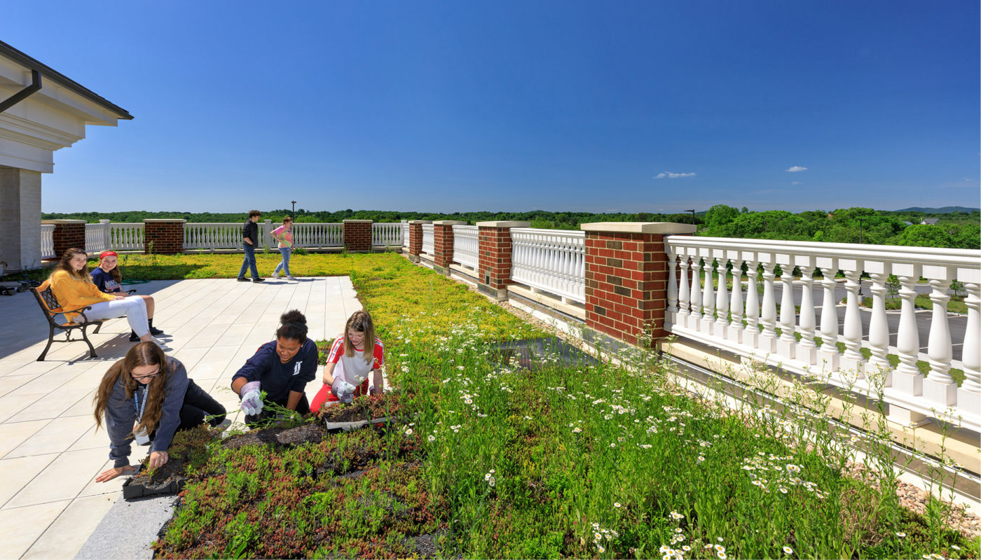 A green roof on Liberty Middle School in Bedford County Public Schools.